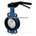 Electric Actuated Butterfly Valve PN16&PN25